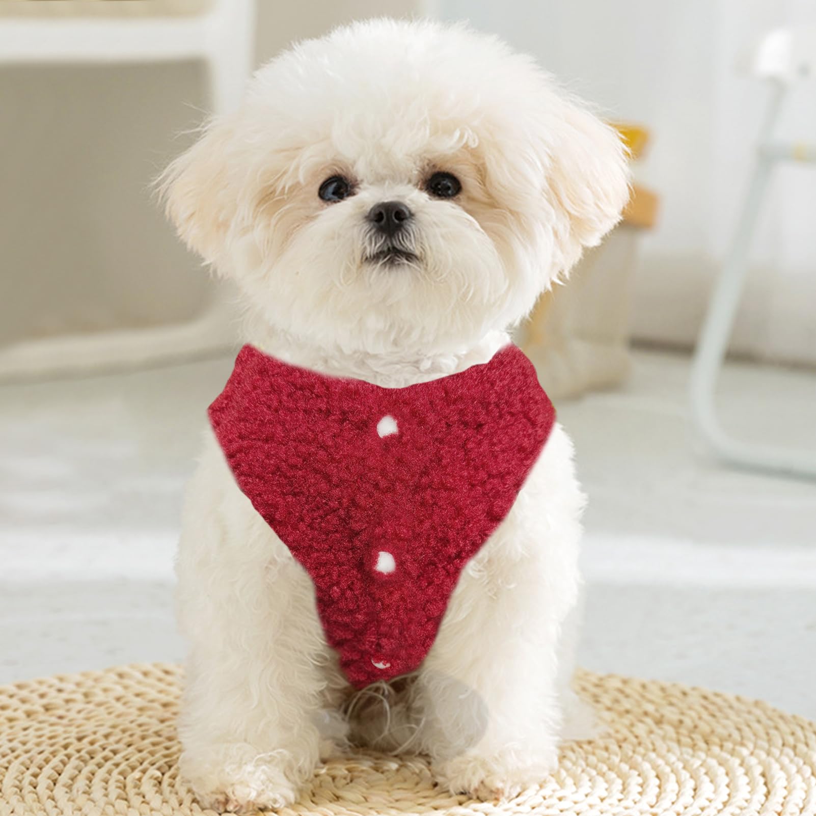 Jecikelon Hundepullover mit Fliege, für den Winter, warme Welpenkleidung für kleine Hunde, D-Ring, Haustierkleidung, Größe S, Rot
