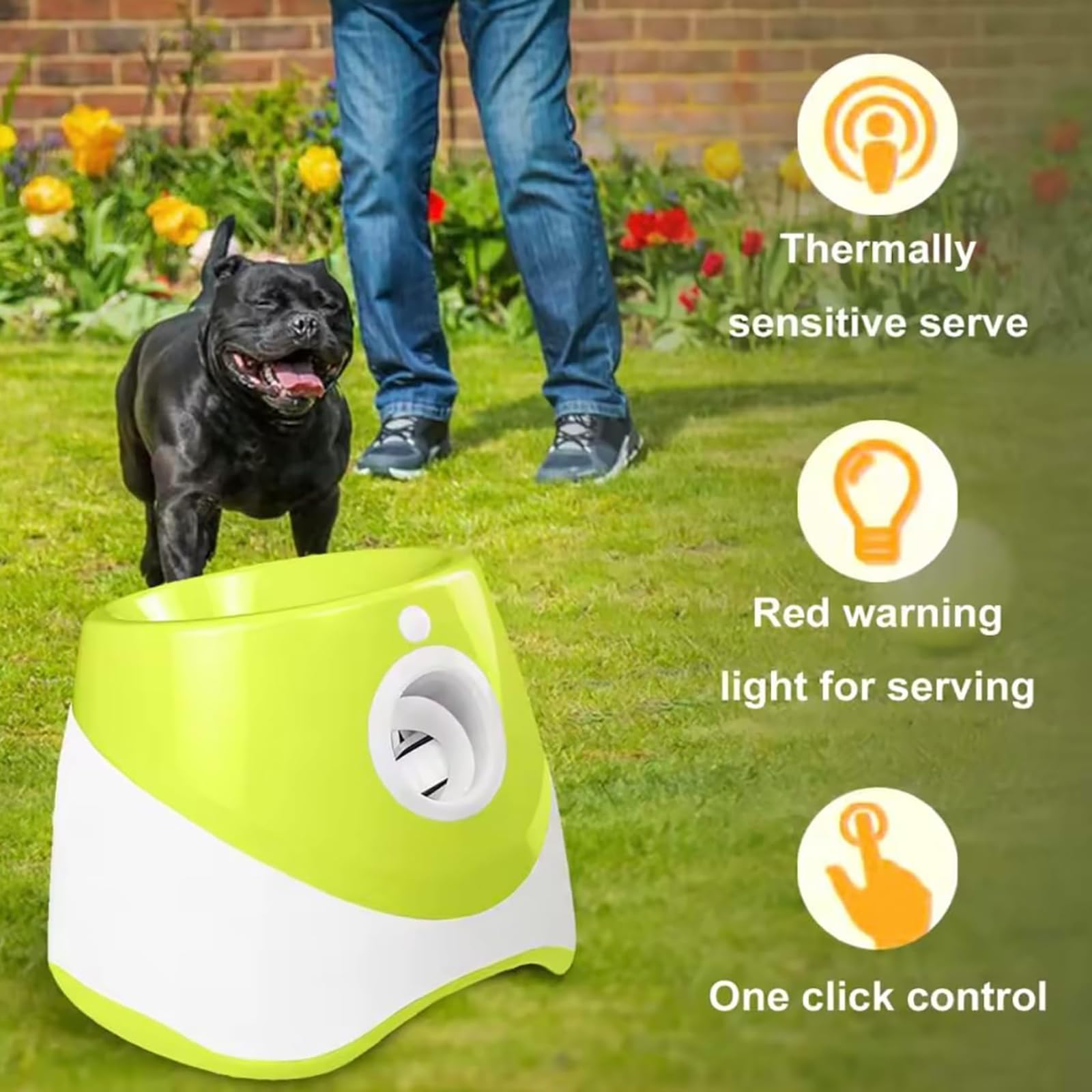Lanceur Automatique De Balle pour Chien, Jouet Interactif avec 6 Mini Balles De 5,1 Cm, Chargement USB, 3 Réglages De Distance, Machine à Lancer De Balle pour Chiens De Petite Et Moyenne Taille Green