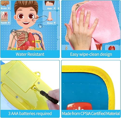 Miniatura 6 de My Body - Póster educativo interactivo para niños pequeños y niños para aprender partes del cuerpo, órganos, músculos y huesos, 16 x 22 pulgadas