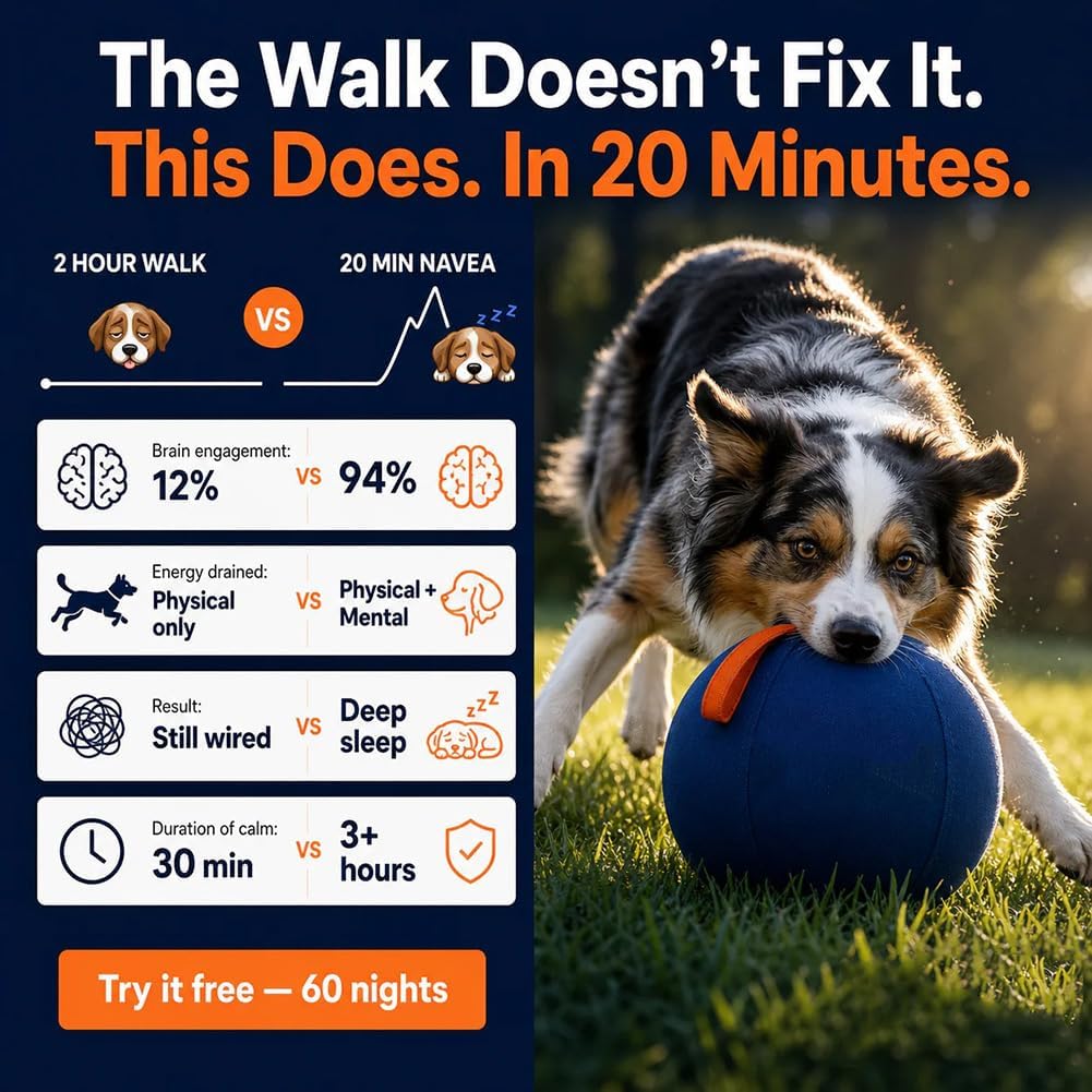 Herding Ball | palline