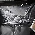 Review Image by Allison feng