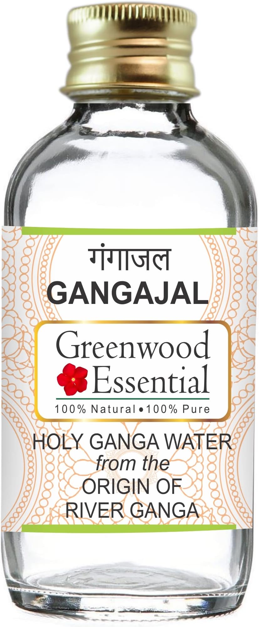 Greenwood Essential Gangajal Holy Ganga Water from the Beginning of River Ganga at Devprayag in Clear Glass Bottle 100ml