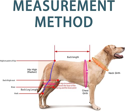 Miniatura 2 de Dog Knee Brace for Torn ACL Hind Leg, Acl Brace for Dogs Rear Leg, Warm Joint and Relieves Joint Pain, Support Back Leg with Arthritis Pain,L Grande