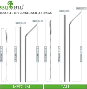 Stainless Steel Straws (Medium)