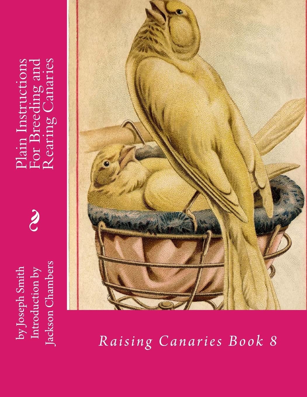 Plain Instructions For Breeding and Rearing Canaries: Raising Canaries Book 8: Volume 8