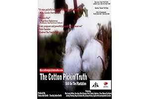 The Unvarnished Truth: Unveiling the Bitter Harvest of 'Texas Cotton'