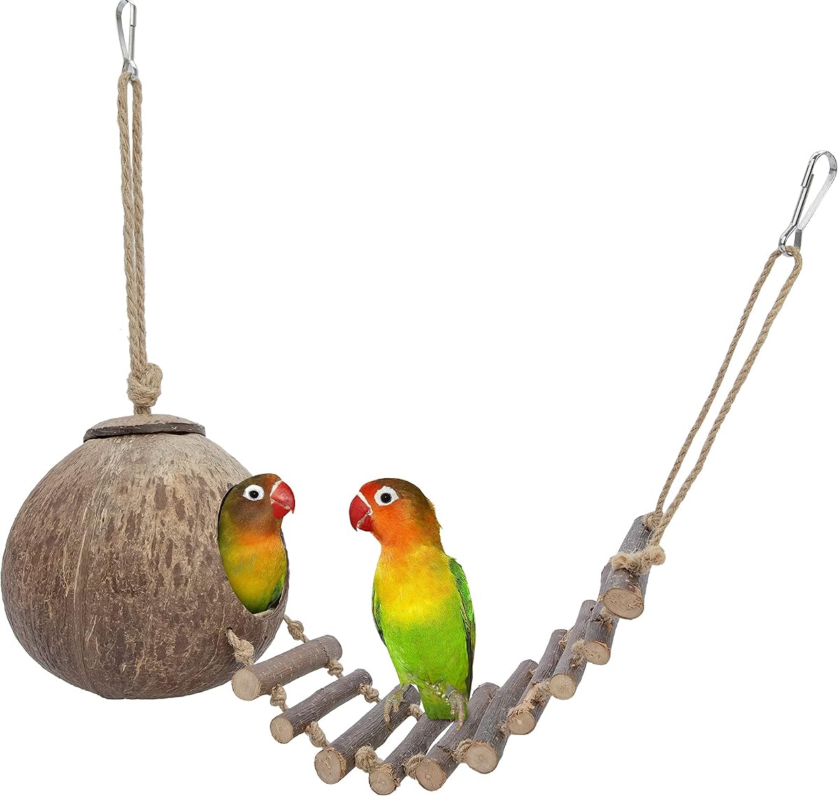Escondite de hámster de coco natural con escalera, pájaro y juguete de animales pequeños (casa con escalera, superficie lisa)