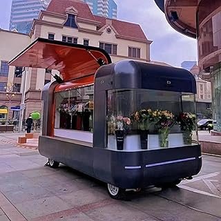 Customized Concession Food Trailer with Full Kitchen Equipment, Mobile Food Truck for Sale, Stainless Steel Mobile BBQ Station, Pizza Push Cart, Hot Dog Cart, for Business​
