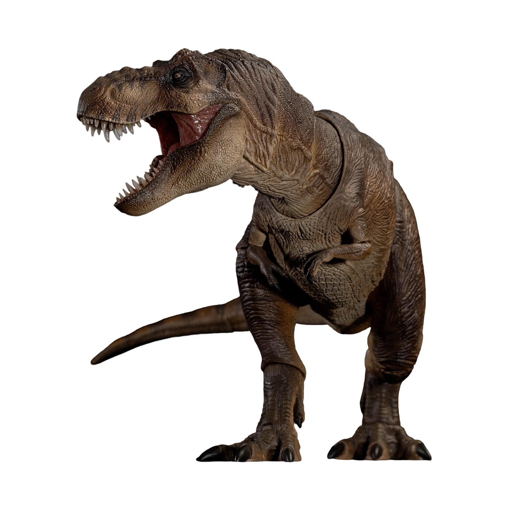 マルコ　本心楠改 ティラノサウルス Amazon | Nanmu 本心楠改 1/35 サイズ ティラノサウルス 大きい