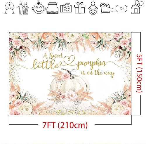 Miniatura 4 de Mocsicka Telón de fondo de calabaza para baby shower, otoño, bohemio, hierba de pampa, calabaza, otoño, baby shower, decoración de fiesta, fondo de