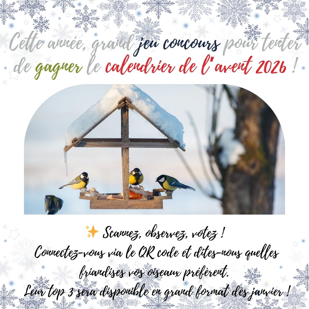 Calendrier de l’Avent pour Oiseaux du Jardin ANI’Nat – 24 friandises Naturelles sans Filet – Graines, céréales, Insectes, Boules de Graisse – Nourriture hivernale avec mangeoire