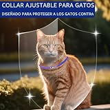 Ver la foto 4