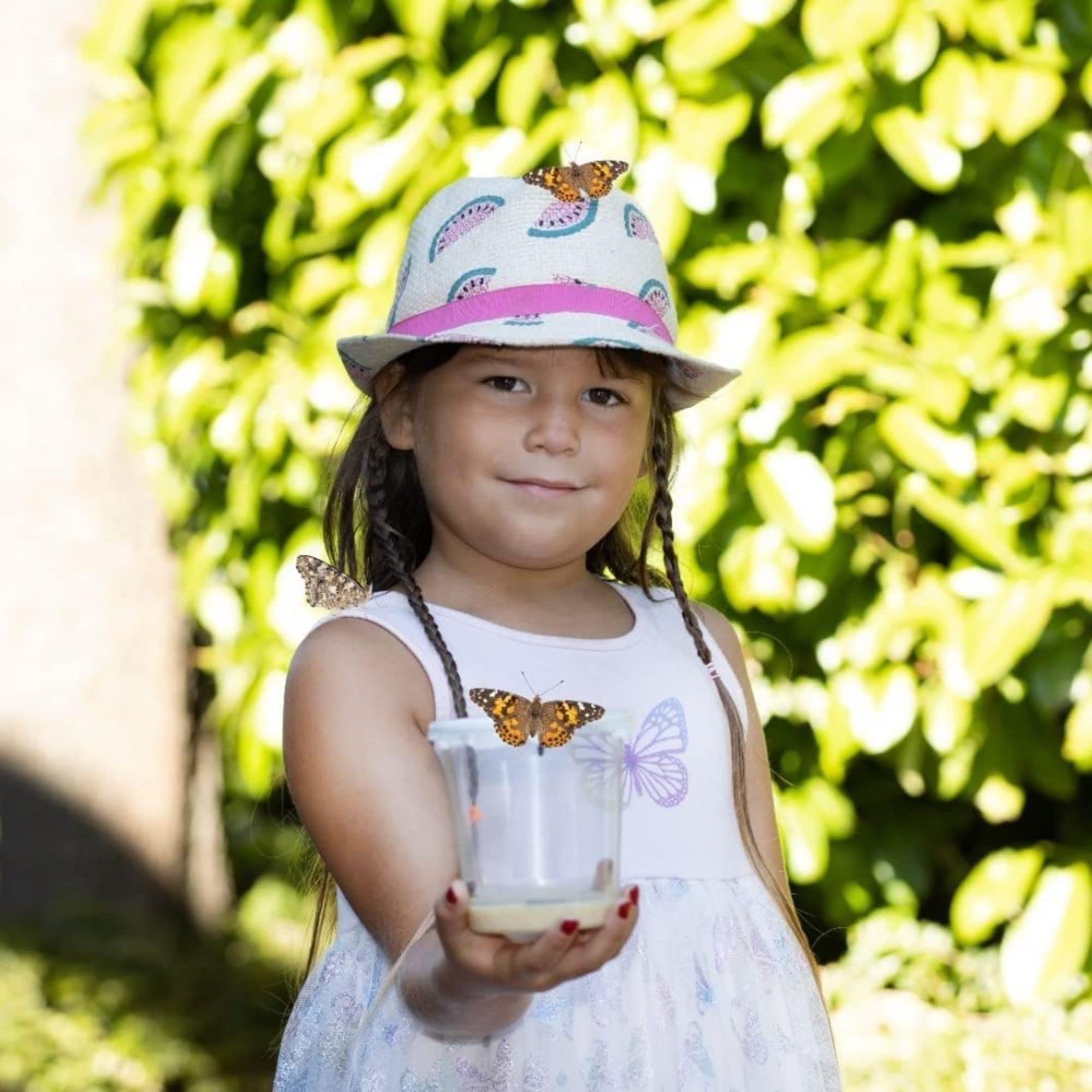 Ensemble d'élevage de Papillons pour Enfants/Adultes | Élevage de Papillons avec [Garantie de réussite] | Papillons indigènes | Élevage de chenilles à Domicile à partir de 3 Ans