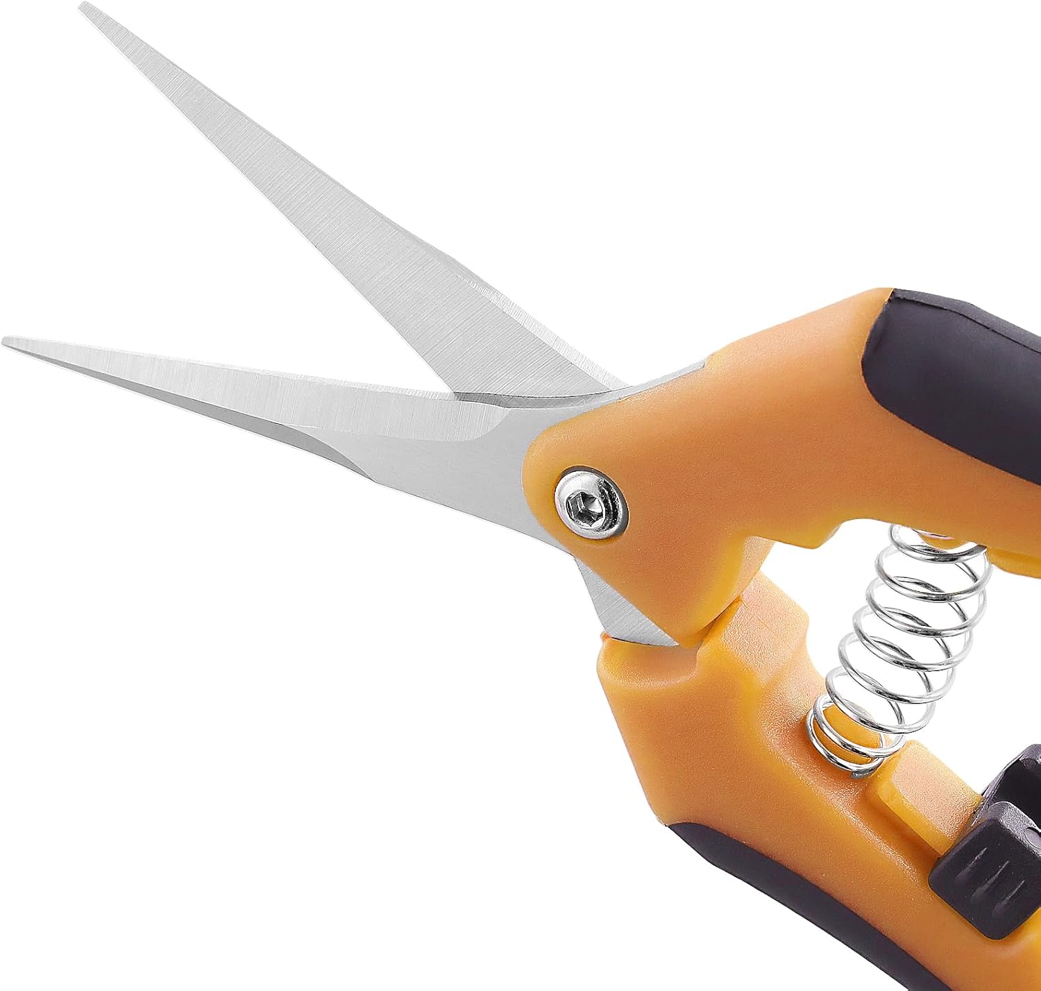 15 PCS 6.5 inch Garden Trimming Scissors, Gardening Hand Pruners with Straight Stainless Steel Precision Blades, Pruning Shears for Flowers Branches Precise Cuts, Orange