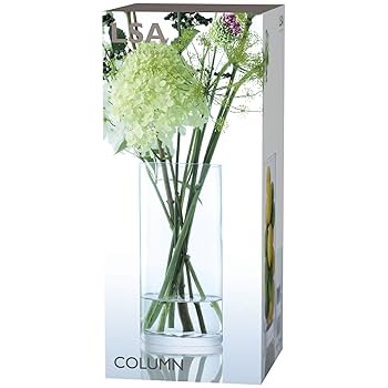 LSA エルエスエー　フラワーベース　クリア H28cm COLUMN VASE LSA エルエスエー フラワーベース クリア H28cm COLUMN VASE