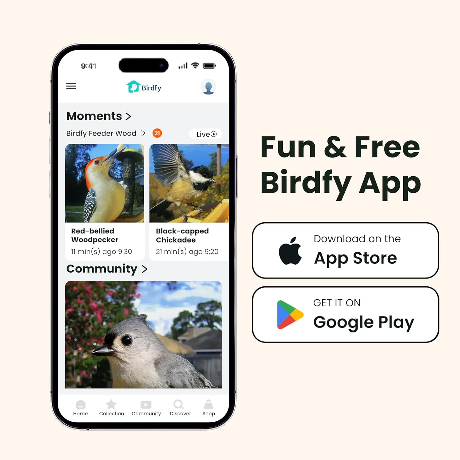 Birdfy Smart Bird Feeder with Camera Solar Powered, Slow-Motion Video & Night Insight, AI Identify 6000+ Species Lifetime Free, Ideal for Outdoors Bird Watching & Gifts for BirdLovers, Wood - Image 9