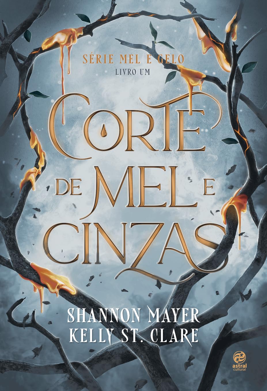 Corte de Mel e Cinzas. Livro 1 da Serie Mel e Gelo (Em Portugues do