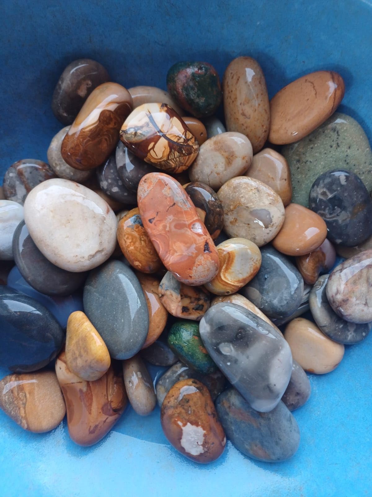 PEBBLES INDUSTRIES Natural Polished Pebbles for Aquarium, Plants, Garden - (Fancy Flat, 1kg) Smooth Mixed Color Pebbles Aquarium Gravel, Vase Fillers, Outdoor Decorative Stones & DIY River Rocks (B0D9JR18K9) Amazon Price History, Amazon Price Tracker