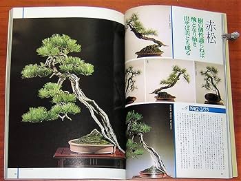 Amazon.com: Masahiko Kimura - The Magical Technician of