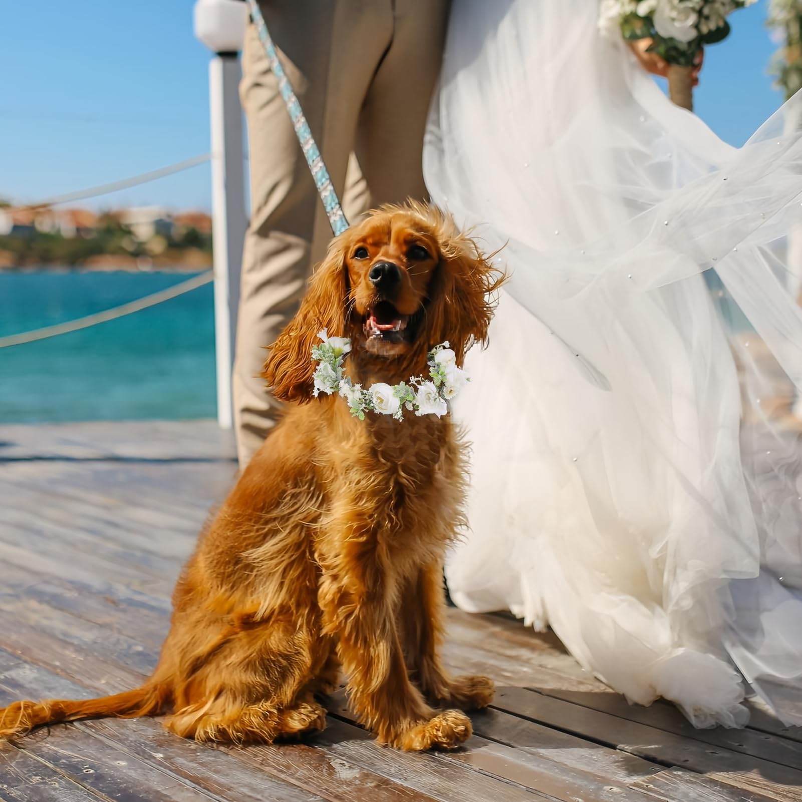 REBABA Correa Y Arnés De Flores Para Perro Bonito Arnés De Flores Para