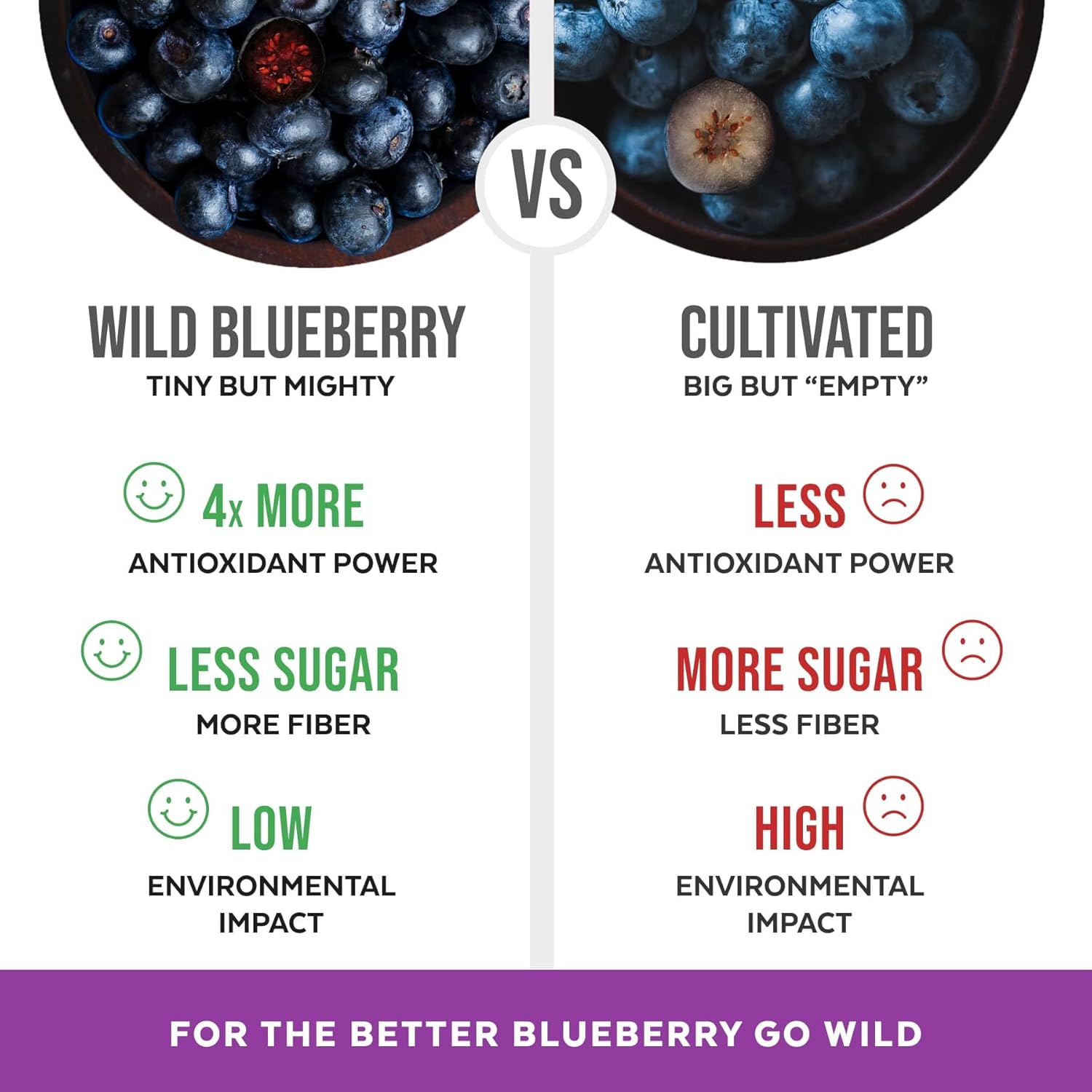 Wild Blueberry Powder Organic, USDA Certified, for Smoothies, Baking and Flavoring, Rich in Antioxidants and Vitamin C, Organic Blueberries are Handpicked from Nordic Forests and Freeze Dried, 6oz - Image 4