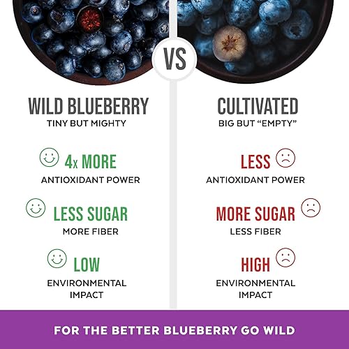 Miniatura 5 de Numami Wild Blueberry Powder Organic, USDA Certified, for Smoothies, Baking and Flavoring, Rich in Antioxidants, Organic Blueberries are Handpicked