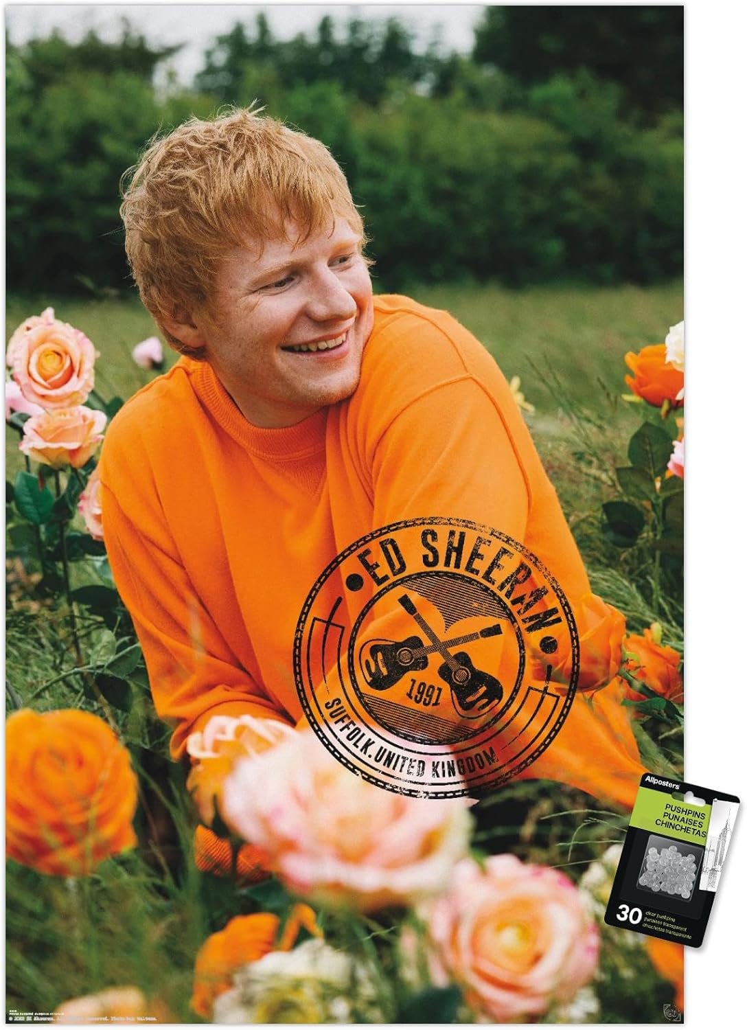 Trends International Ed Sheeran – Rose Field Wall Poster, 14.72" x 22.37", Premium Poster & Push Pin Bundle