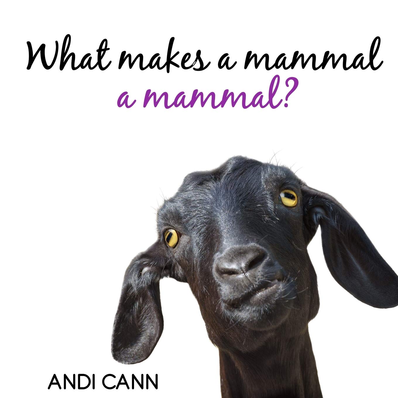 What Makes a Mammal a Mammal?: 3 (Animal Classes)