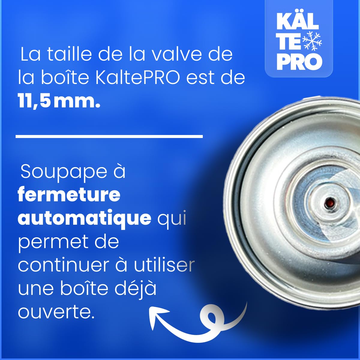 Remplacement du gaz refrigerant R134a pour Clim Auto - Pack 5-en-1 Complet : Gaz, Huile, Anti-fuite & Traceur UV Équivalent 755g R134a- Pour Voitures 1995–2016