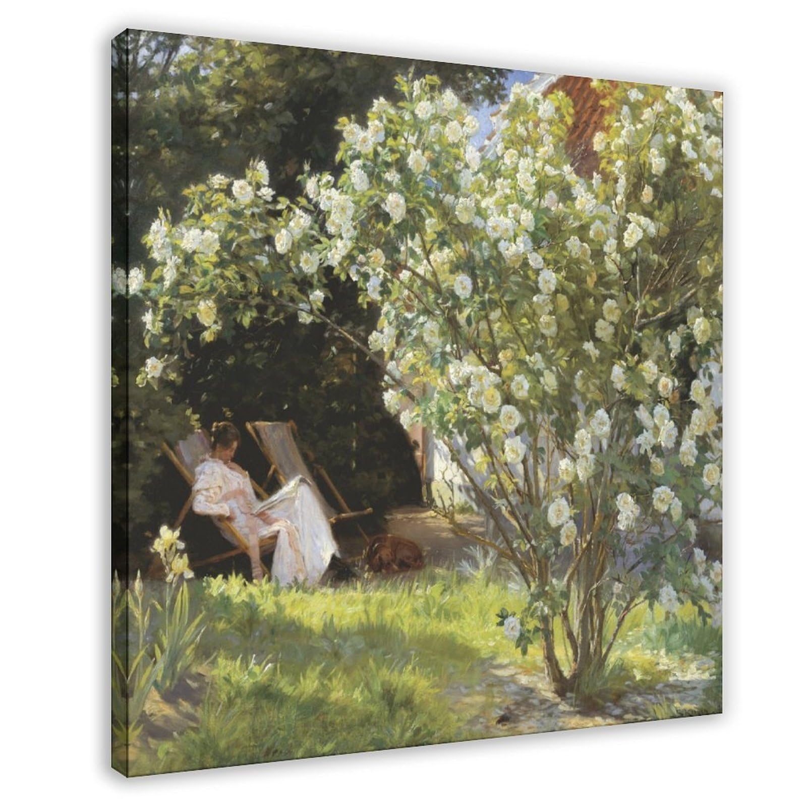 WCYB Roses by Peder Severin Kroyer Prints Posters Canvas Deco Paintings Wall Art For Office Frame 24" L X 24" W