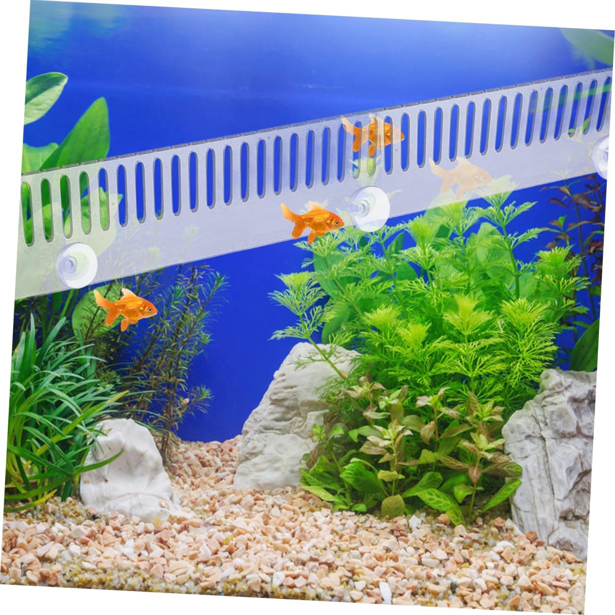 2pcs Aquarium Overflow Comb Divider Cups Fish Comb for Fish Separation Tanks Multifunctional Drip Plate and Overflow Barrier