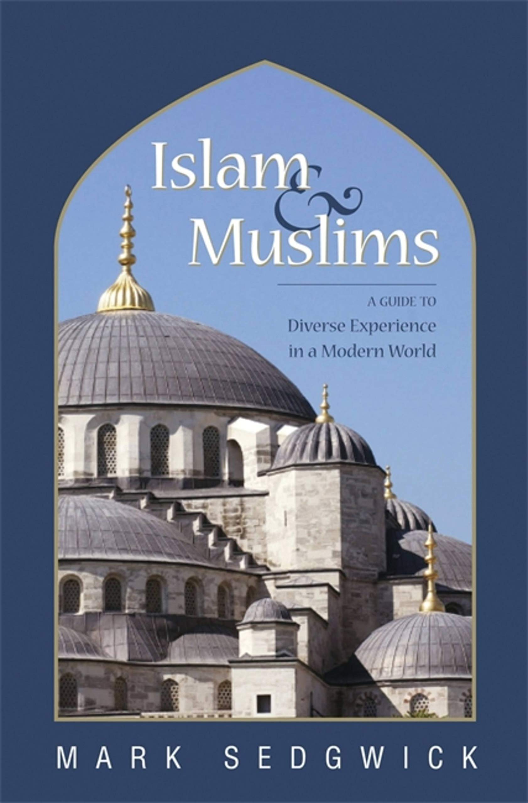 Buy Islam And Muslims — BookShops.in