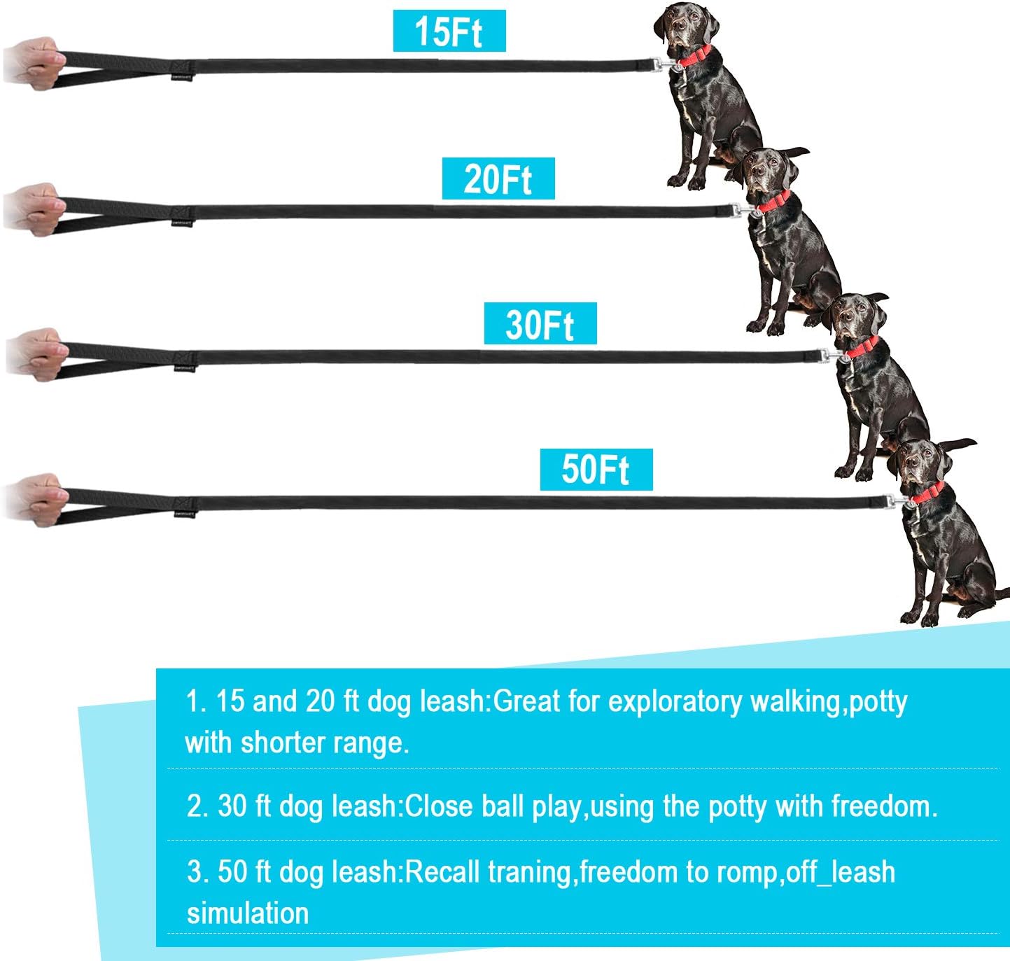 Dog Leash for Small Medium Large Dogs,Long Dog leashes for Obedience Recall Training,Camping,30Ft,Black