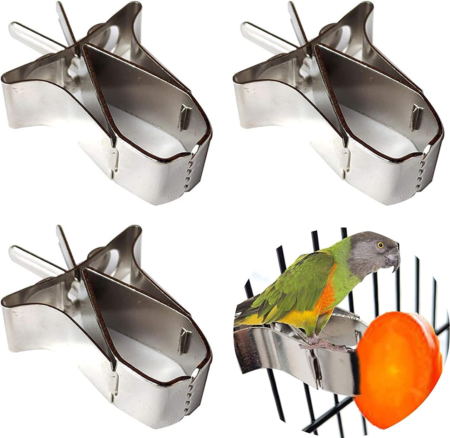 3 PCS Bird Fruit Feeder Birds Food Holder, Cuttlefish Clip for Bird Hamster Cockatiel Parrot Small Animals
