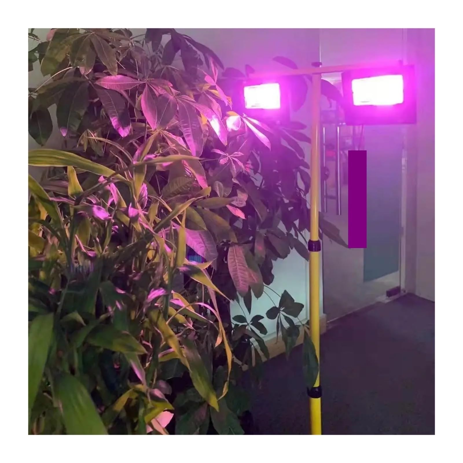 Lámpara de Cultivo, Luz LED Solar for Cultivo, Reflector de Espectro Completo, luz for Cultivo de Plantas, Control Remoto, Impermeable, fitoamplificador for Plantas de Interior y Exterior.