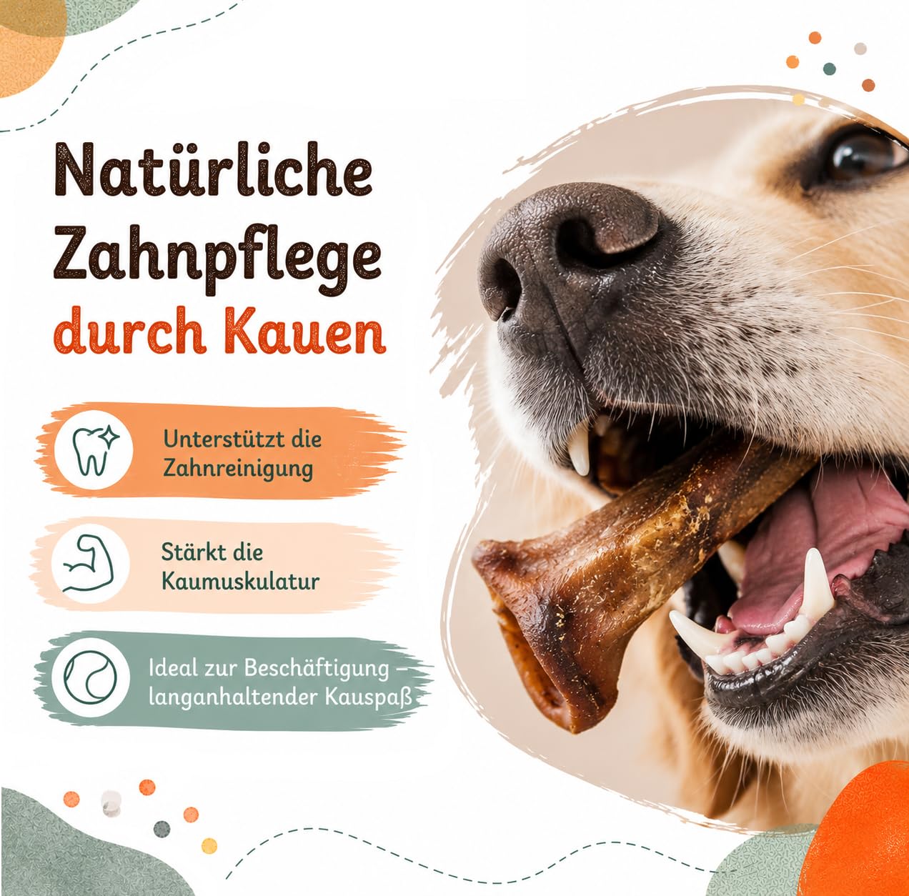 Hocico de cerdo seco, nariz de cerdo para perro, 5 kg, bocadillo natural para masticar, rico en proteínas y fácil de digerir, sin cereales y aditivos artificiales de Lucze