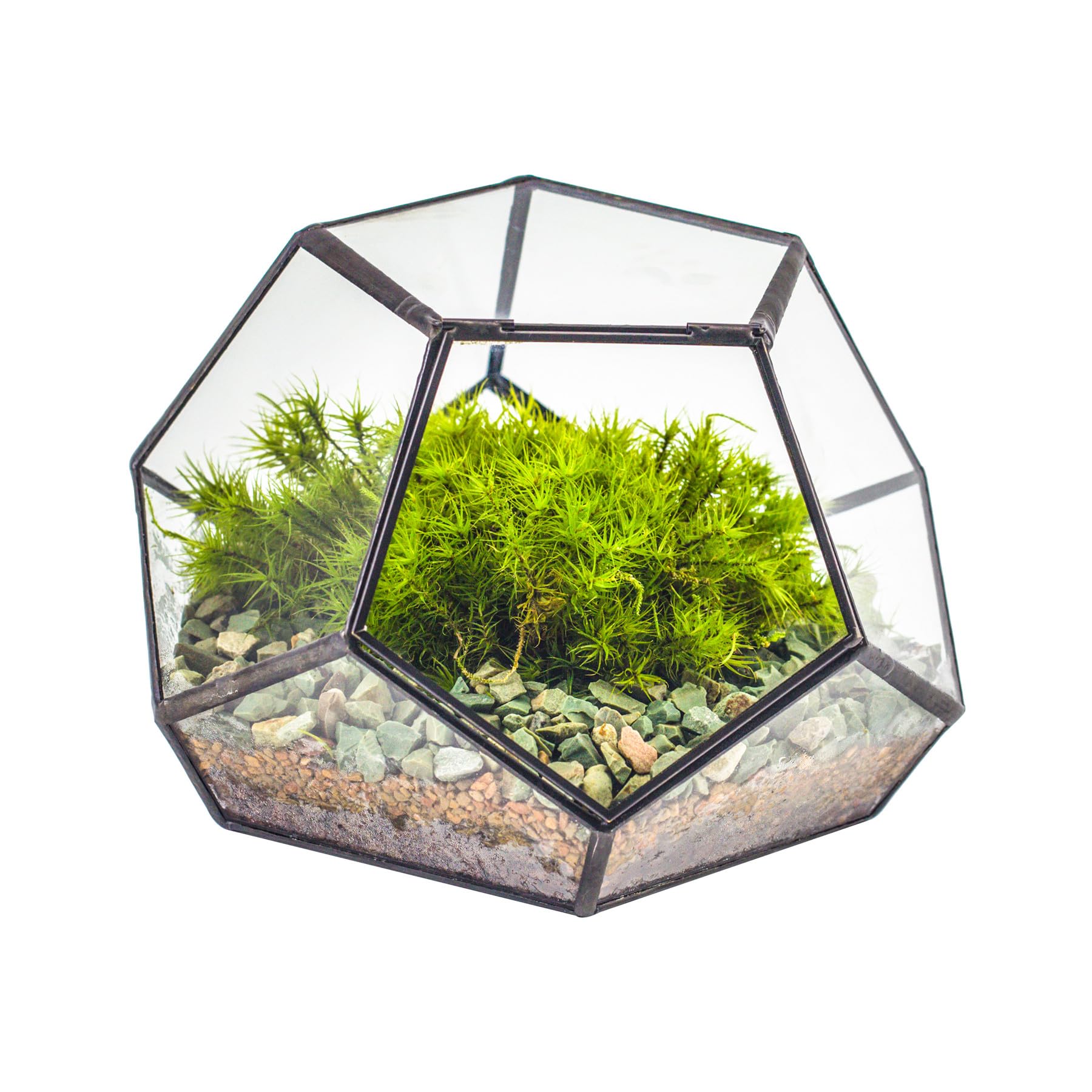 NCYP Handmade bloempot goud messing tafelblad geometrische pentagon bolvorm open terrarium voor varens mos vetplanten lucht plantenhouder glas display plantenbak (planten niet inbegrepen