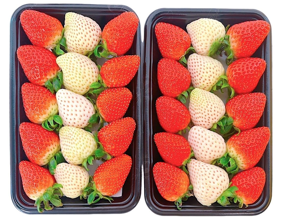 Amazon.co.jp: お試し【天使のイチゴ食べ比べ】 高級 いちご 30-40粒