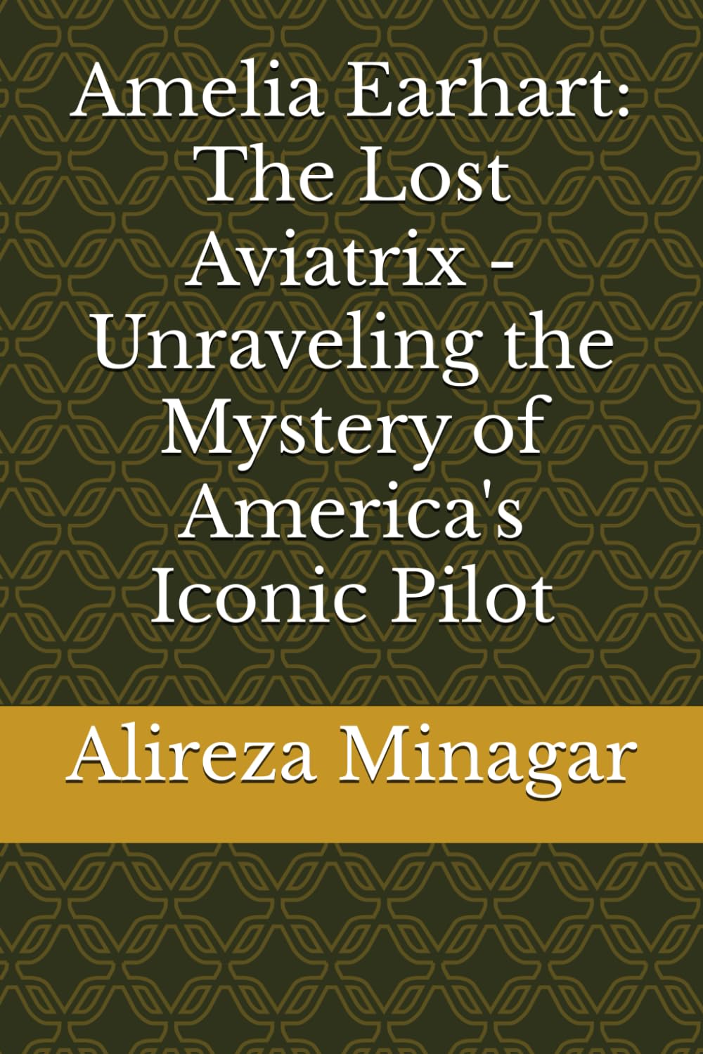 Amelia Earhart: The Lost Aviatrix - Unraveling the Mystery of America's Iconic Pilot
