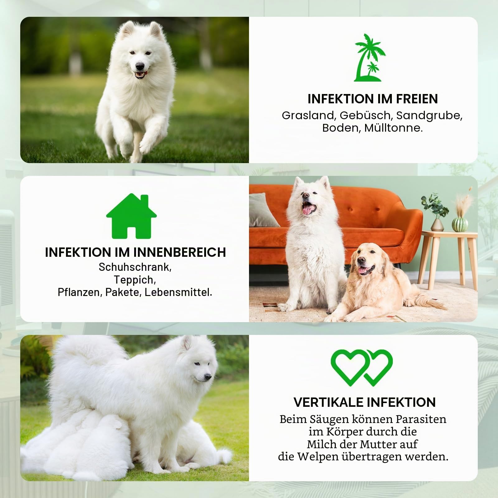 Flea und Zeckenprävention für Hunde Kauen, Zeckenschutz Weiche Tabletten, Natürliche Hund Flea Zeckenkontrollergänzung Orale Pillen,Zeckenschutz, Schädlingsschutz - Peking Ente Aroma (375g,150chews)