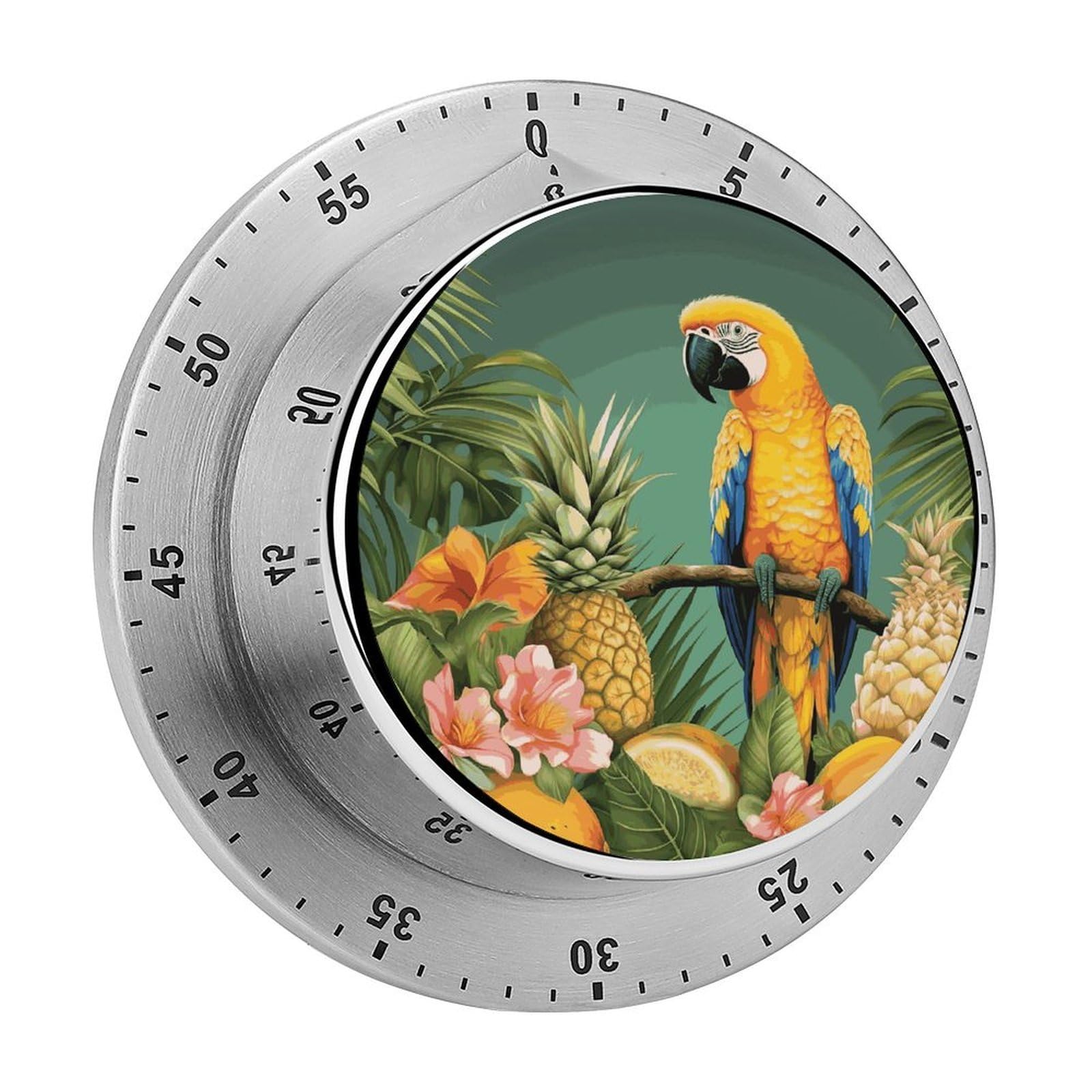 Summer Parrot Pineapple Bird Timer Exquisite Stainless Steel Body Mechanical Desk Timers 60 Minutes Visual Countdown Timers with Magnetic Backing Loud Alarm Kitchen Timer for Cooking