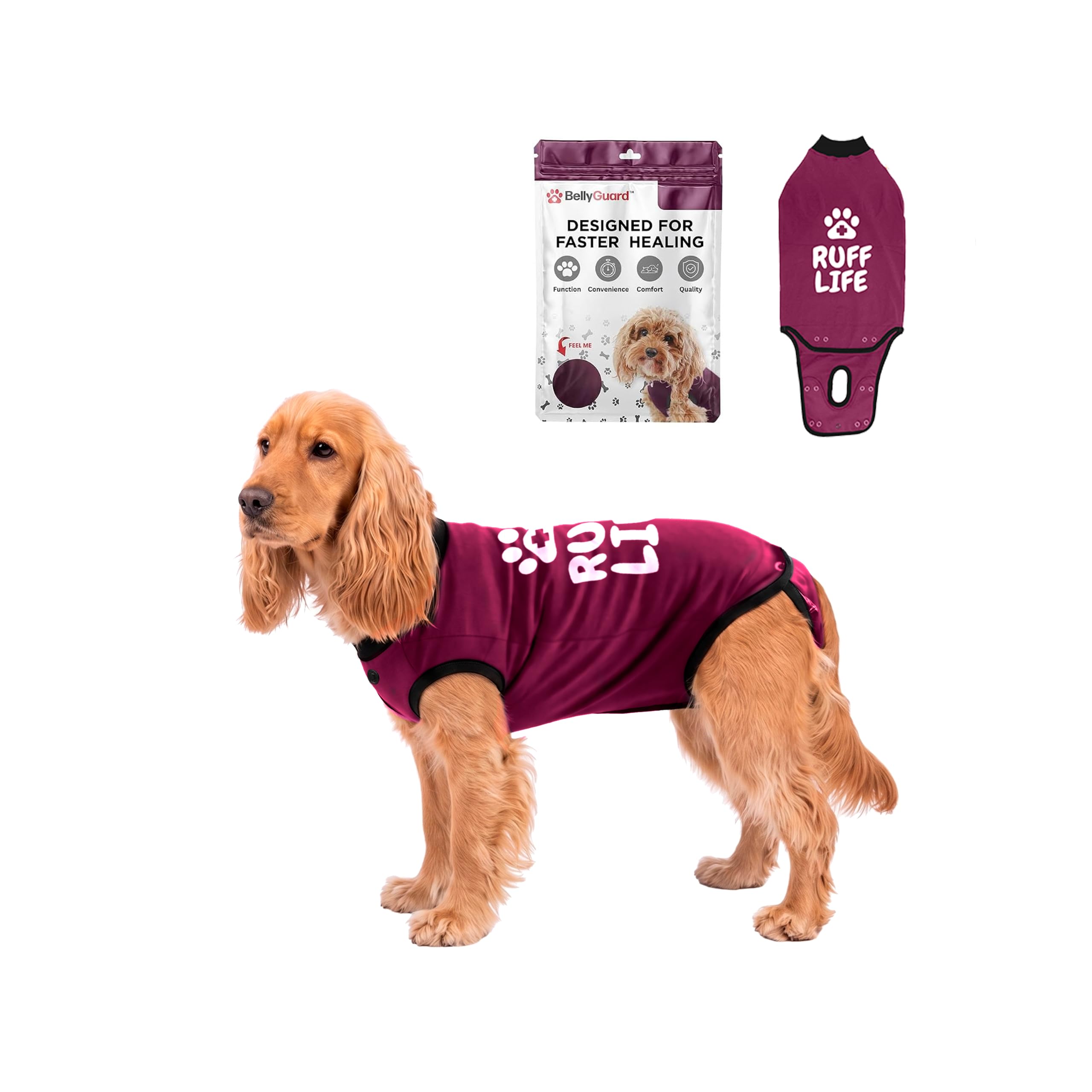 BellyGuard Dog Surgery Recovery Suit, Male Female After Spay Neuter Onesie