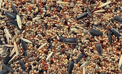 Pet Love's | Mix Seeds Bird Food for All Type of Birds 1 KG /