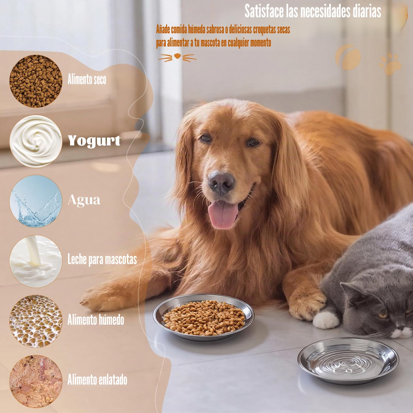 6 Piezas Cuenco para Gato Inoxidable 304, Cuenco Plano para Gatos Aliviar La Fatiga de Los Bigotes, para Alimentación de Cachorros Gatos 14,5 × 3 cm
