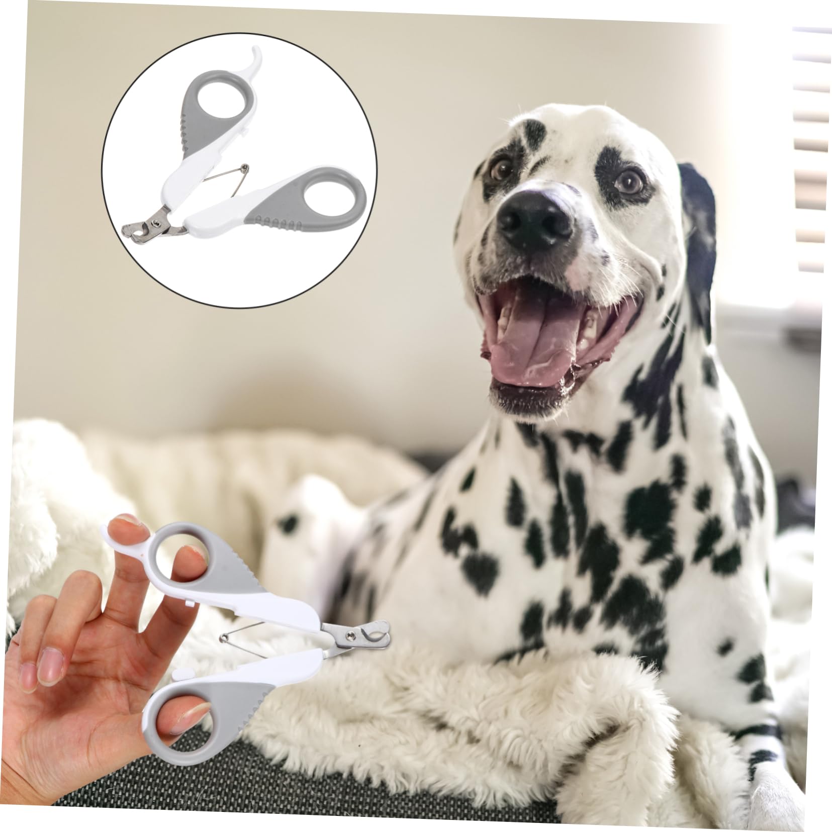 POPETPOP 3pezzi Cesoia per Unghie per Domestici Inossidabile Strumento Toelettatura Unghie del per Piccole e