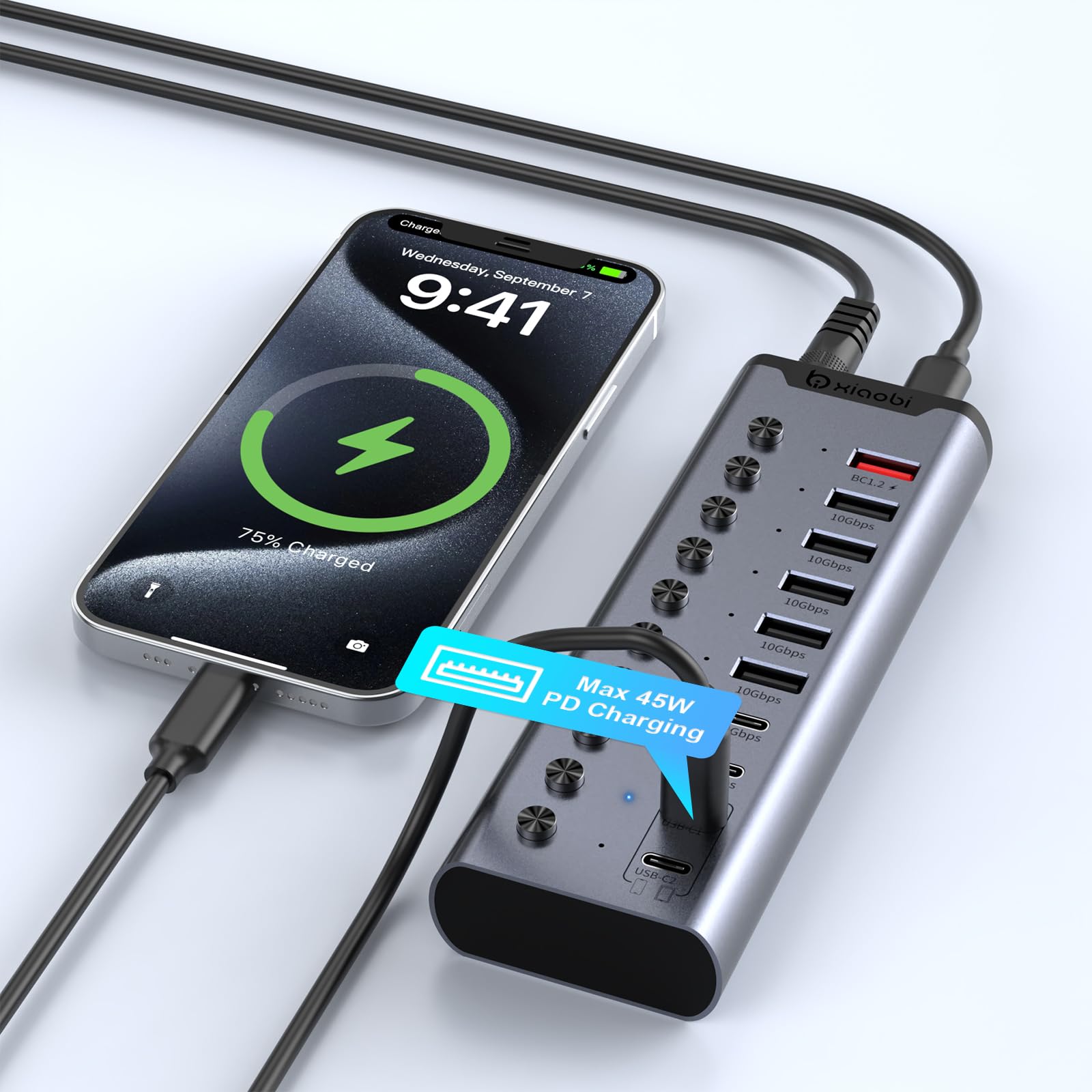 Hub USB alimentato, hub USB C a 10 porte con 6 porte USB-A 3.2, 4 porte USB-C 3.2, 2 porte di ricarica PD 45 W interruttori individuali e adattatore di alimentazione 24V/3A, estensione USB per MacBook