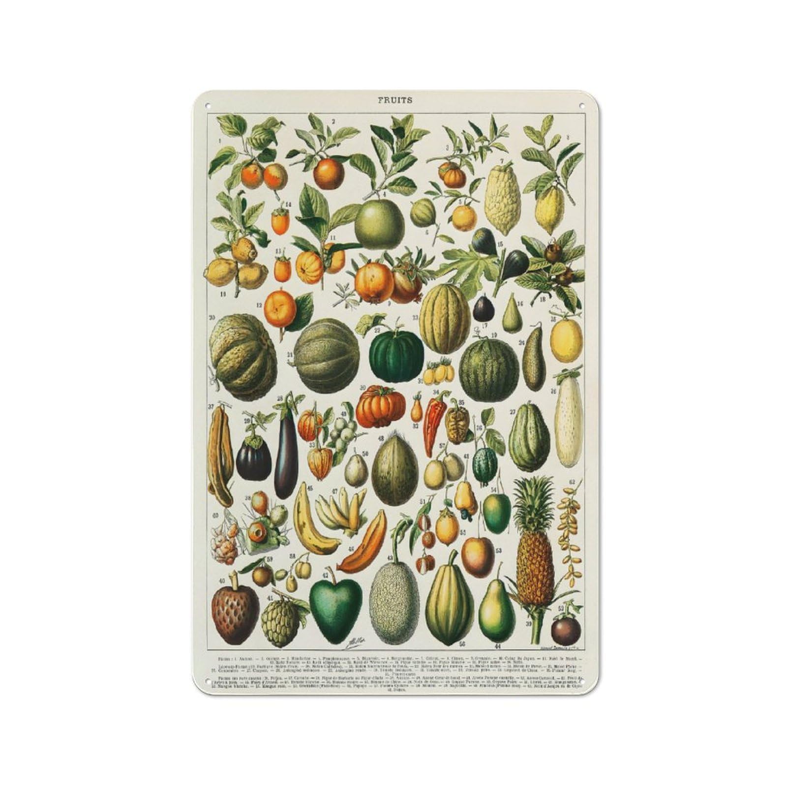 Junmoney Style-21 Tin Wall Plaque 30X20cm With Variety Of Fruits For Garage Wall, For People Furnishing A Garage, For Retro Home Interiors