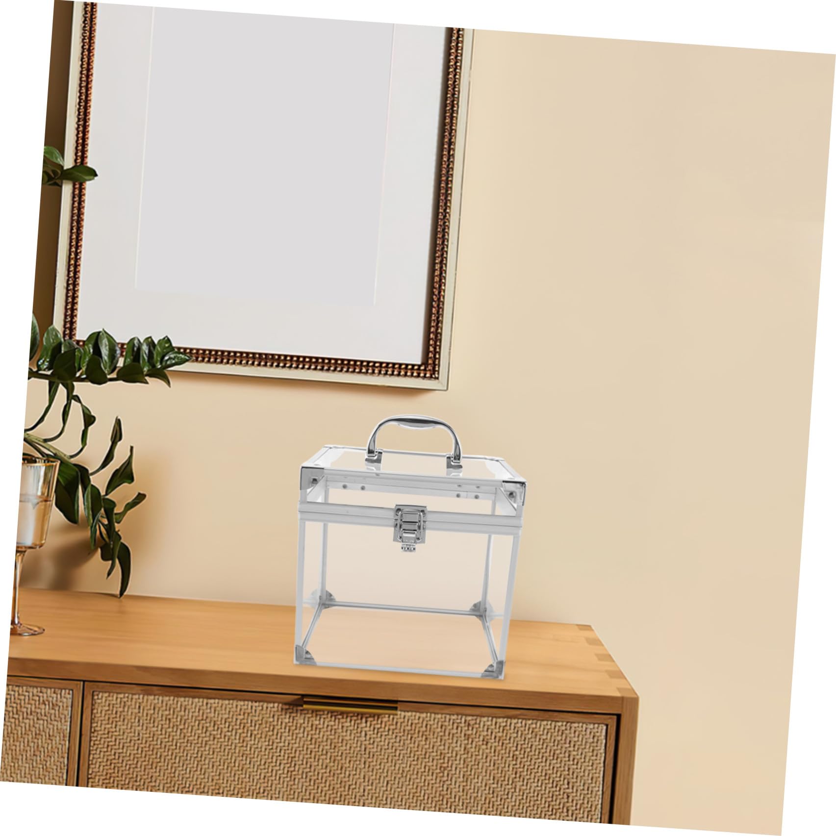 Scatola per Proteggere e Organizzare Dischi per Vinili in Acrilico di Archiviazione Portatile con Maniglia Grande Capacità Nell'angolo Intrattenimento o Studio