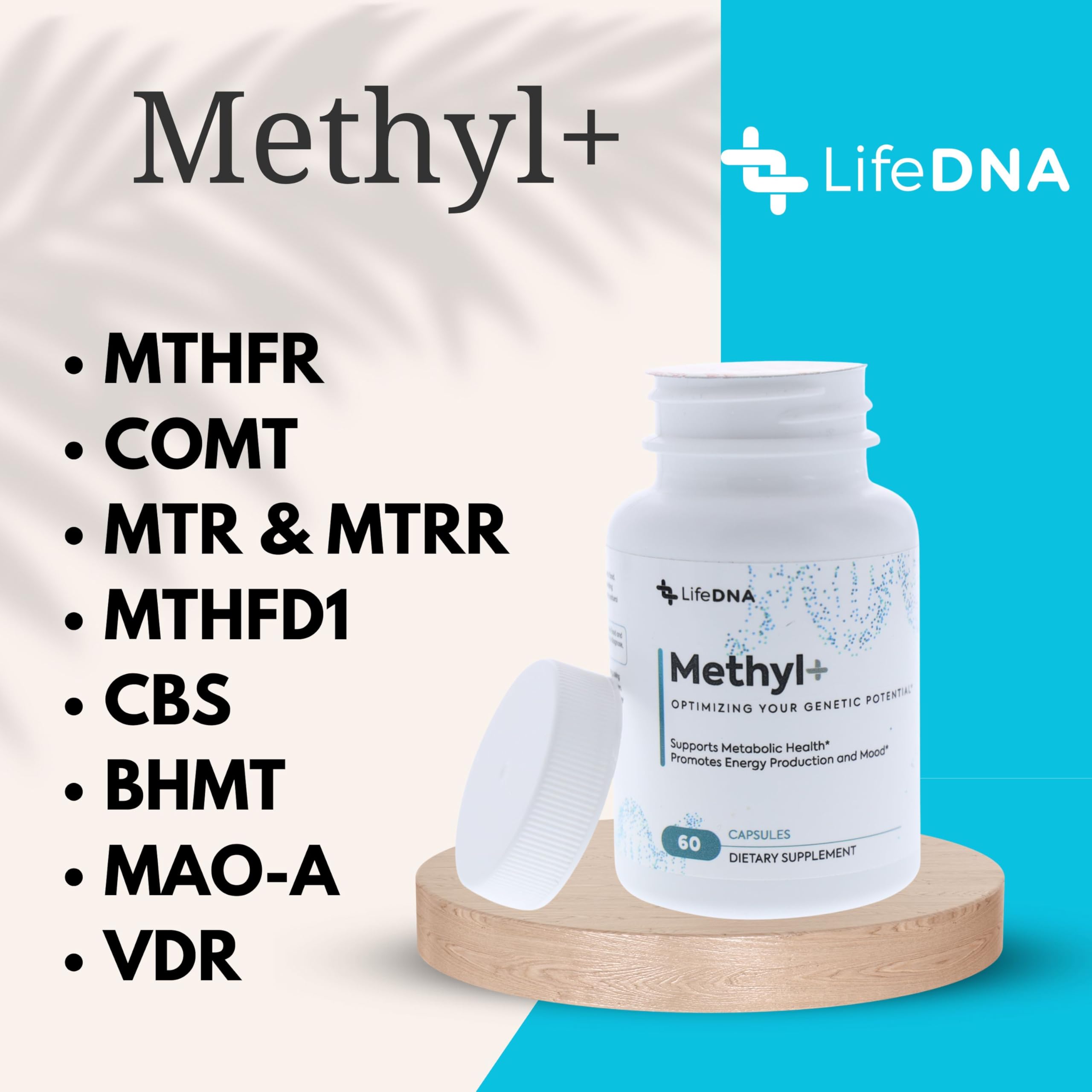 Amazon.com: LIFEDNA Methyl + Methylfolate