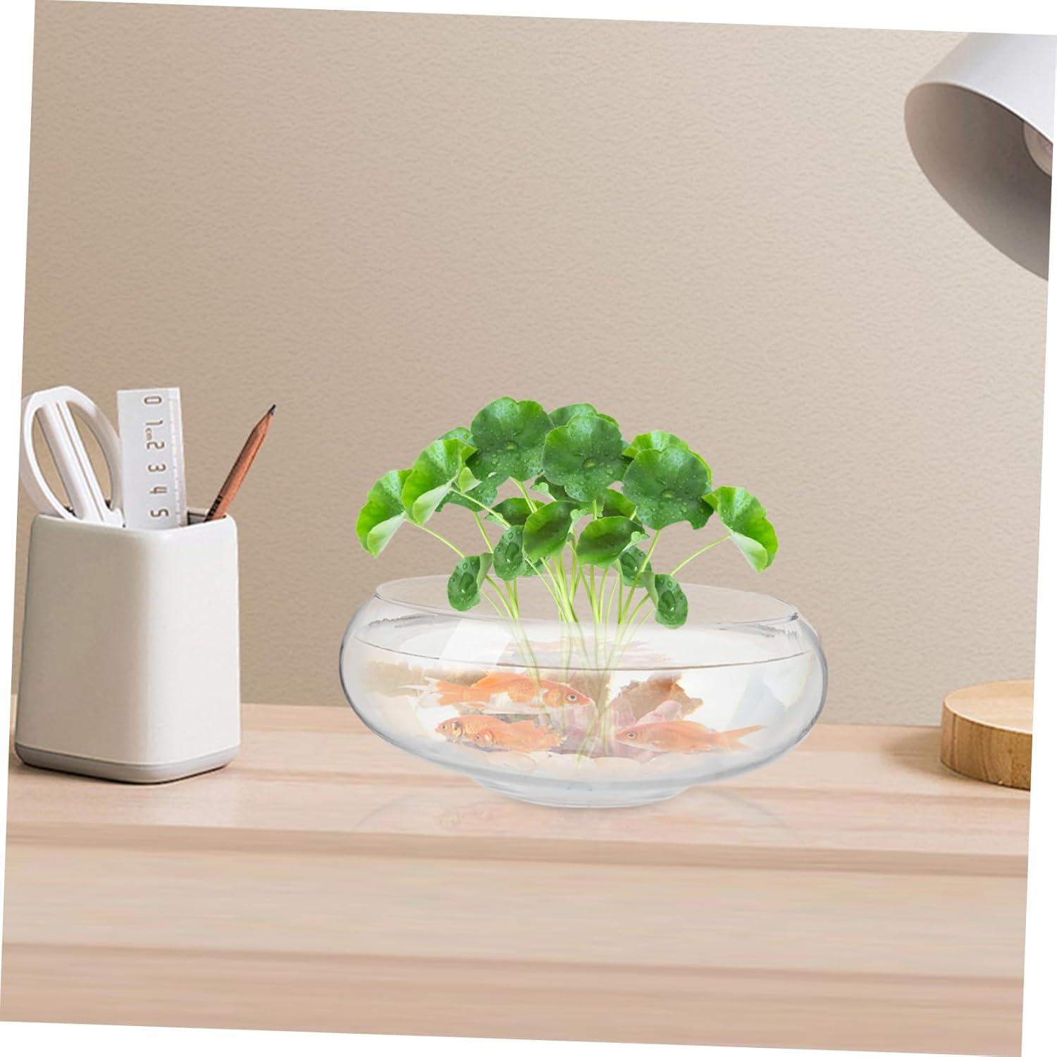 Toddmomy Pot Glass Planter Drainage Hydroponic Flowerpot for Indoor Garden Landscape Fish Tank Decorative Container for Home Decor